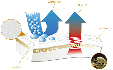Protect-A-Bed - Illustrates How Membrane Works to Keep Moisture Out but is breathable
